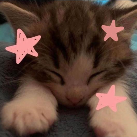 admin member img