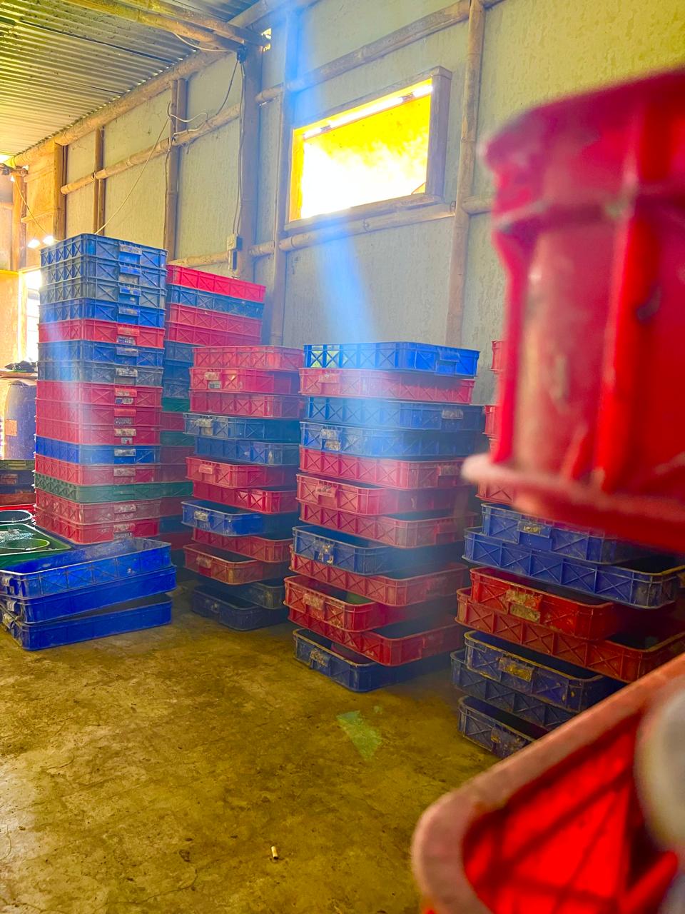Penyimpanan dan penanganan media dalam container